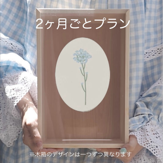 2ヶ月ごとプラン